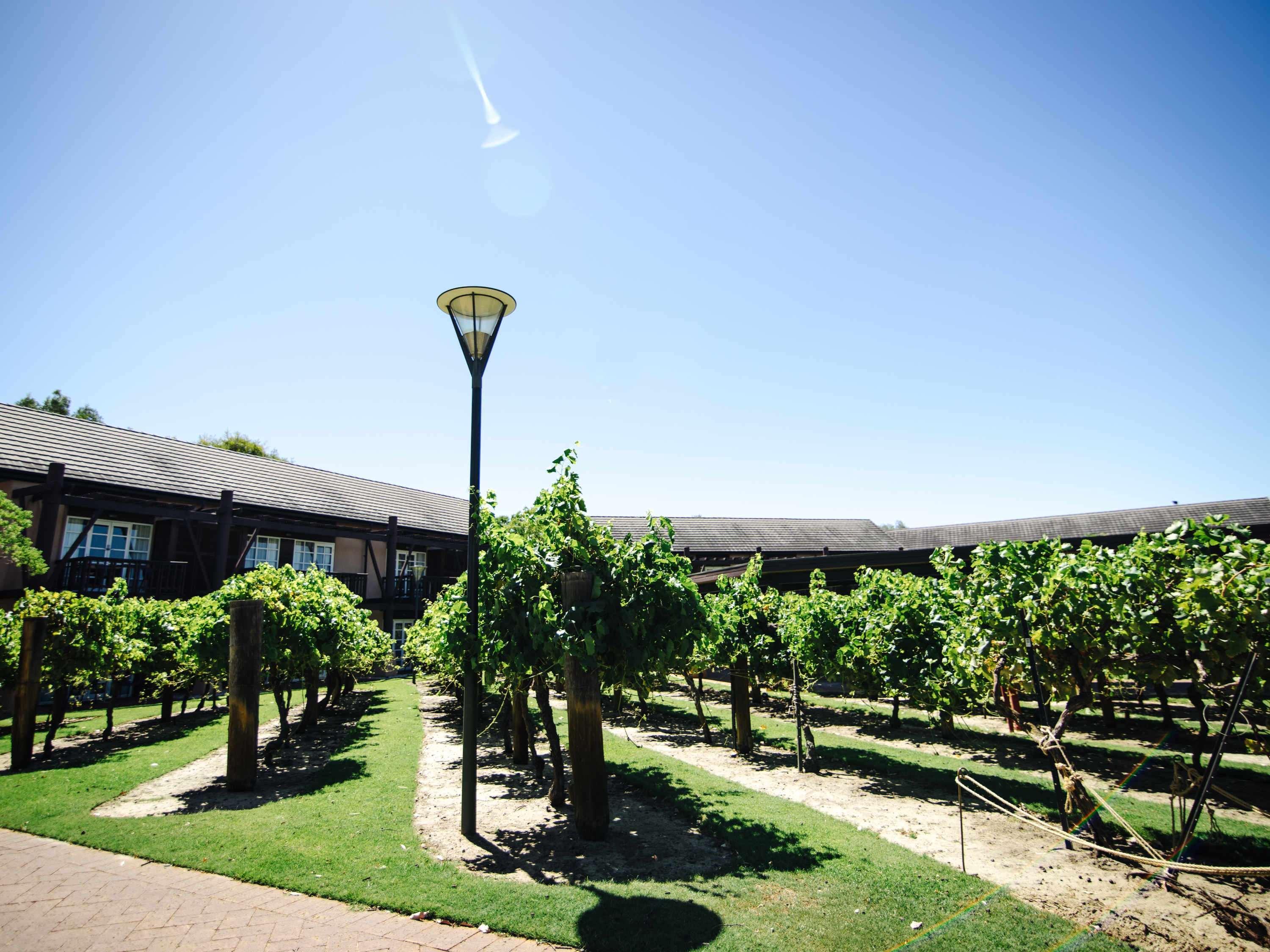 Novotel Vines Resort Swan Valley The Vines Bagian luar foto