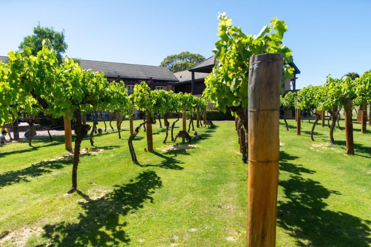 Novotel Vines Resort Swan Valley The Vines Bagian luar foto