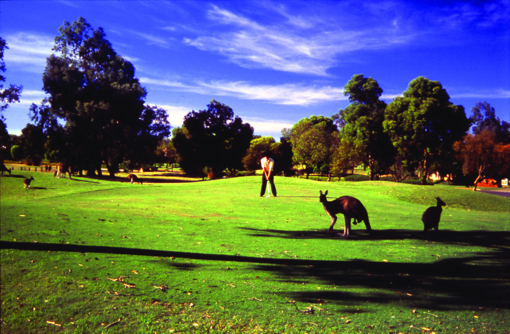Novotel Vines Resort Swan Valley The Vines Bagian luar foto